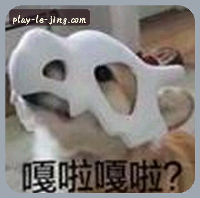 周丽